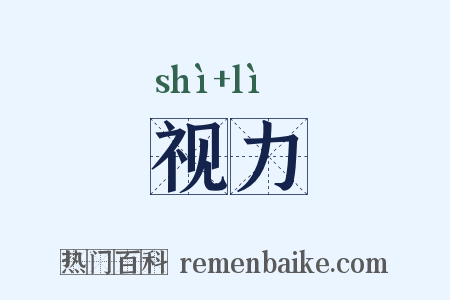 视力是什么意思的图片